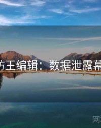 P站专访王编辑：数据泄露幕后故事