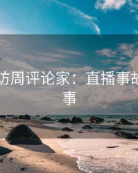 91网专访周评论家：直播事故幕后故事