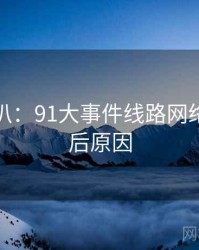 独家深扒：91大事件线路网络舆论背后原因