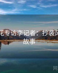 国产探花专访李记者：抄袭风波幕后故事