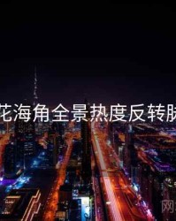 国产探花海角全景热度反转脉络揭秘