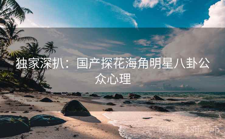 独家深扒：国产探花海角明星八卦公众心理